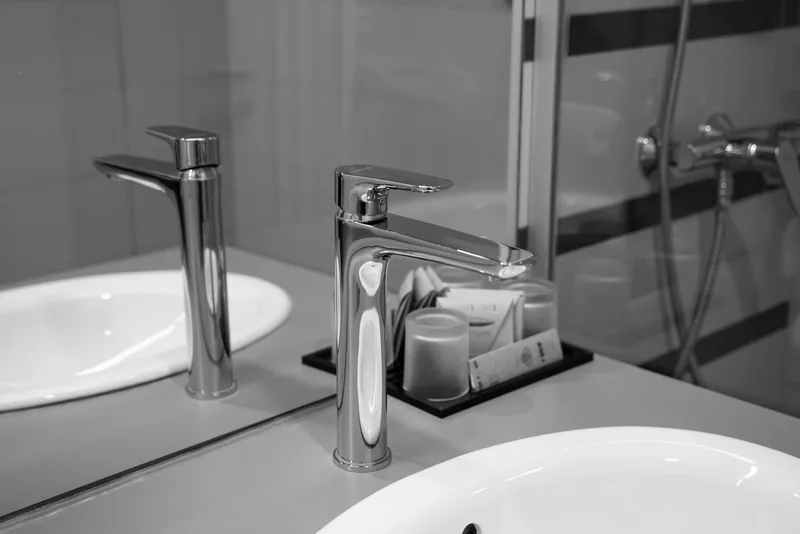 Standaard RVS-spoelbak budget